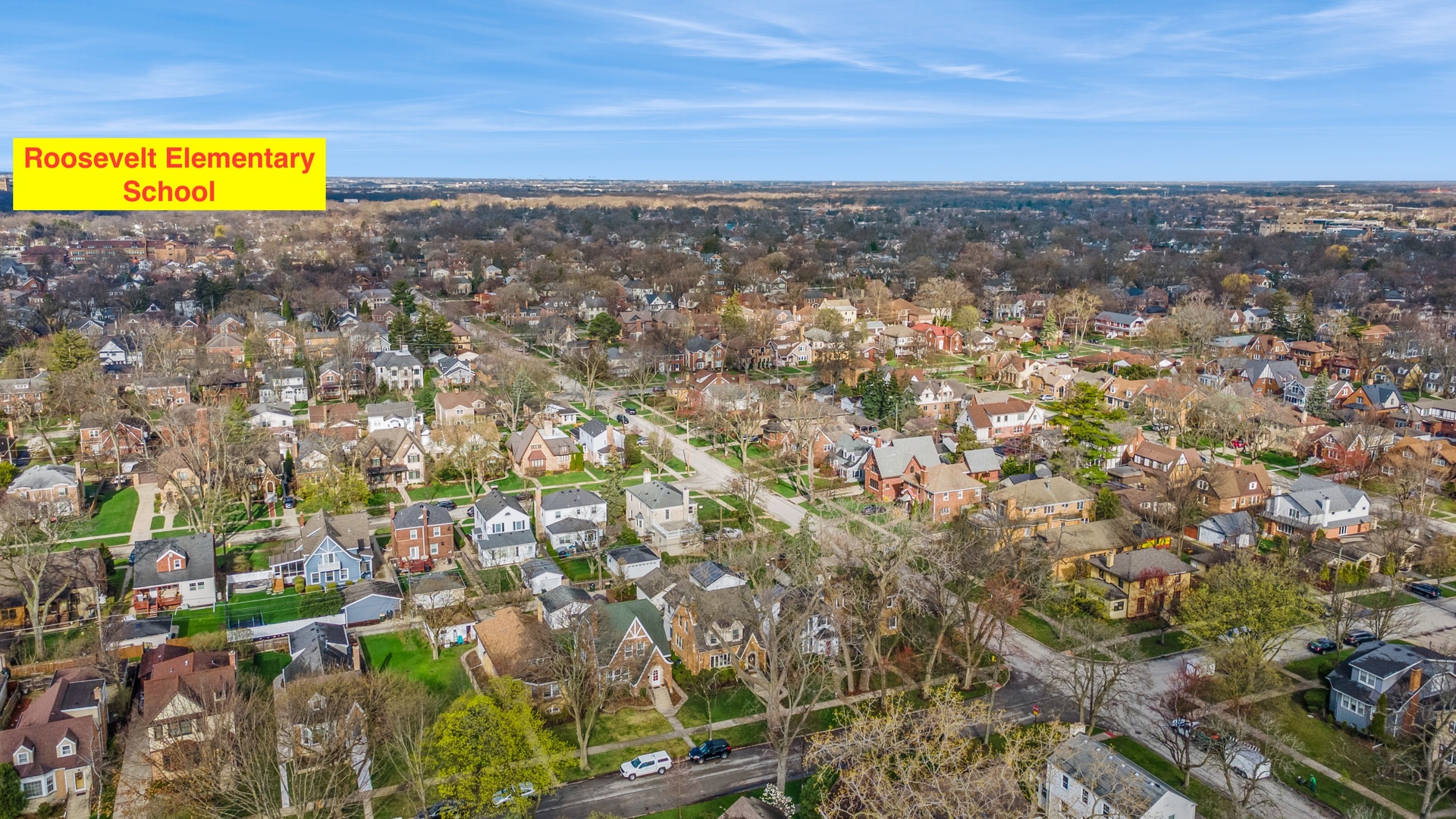 916 Cleveland Avenue, Park Ridge, IL 60068