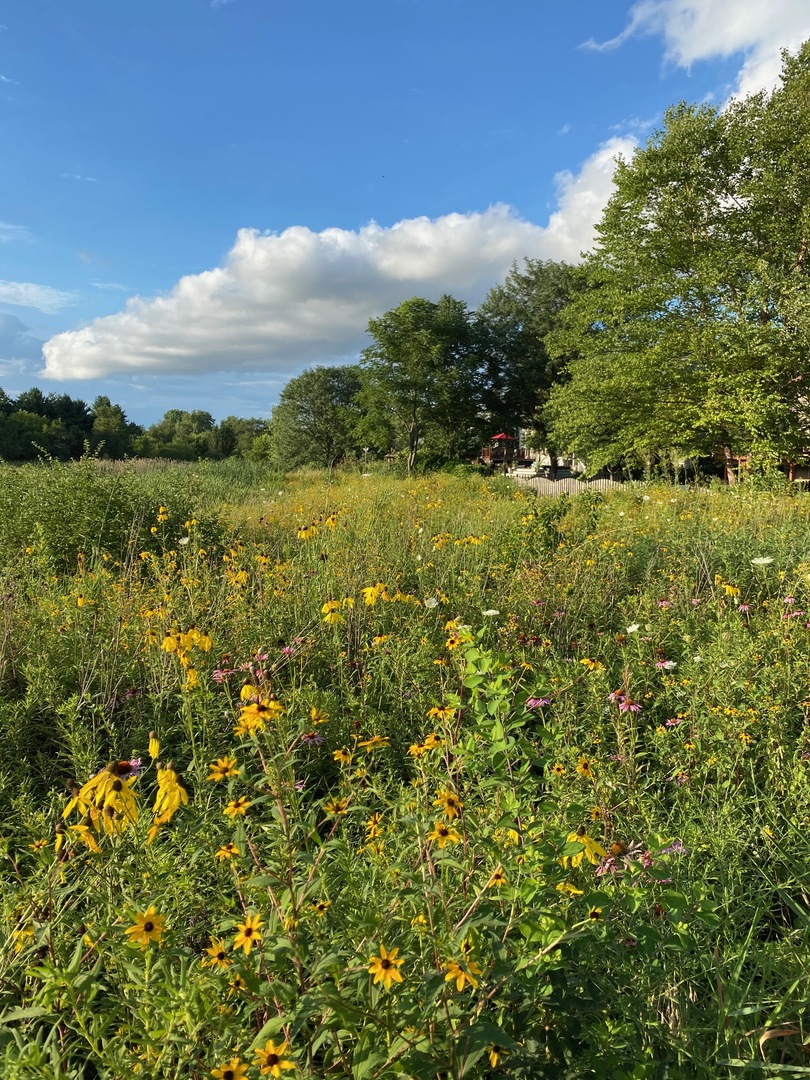 39W578 Newton Square, Geneva, IL 60134