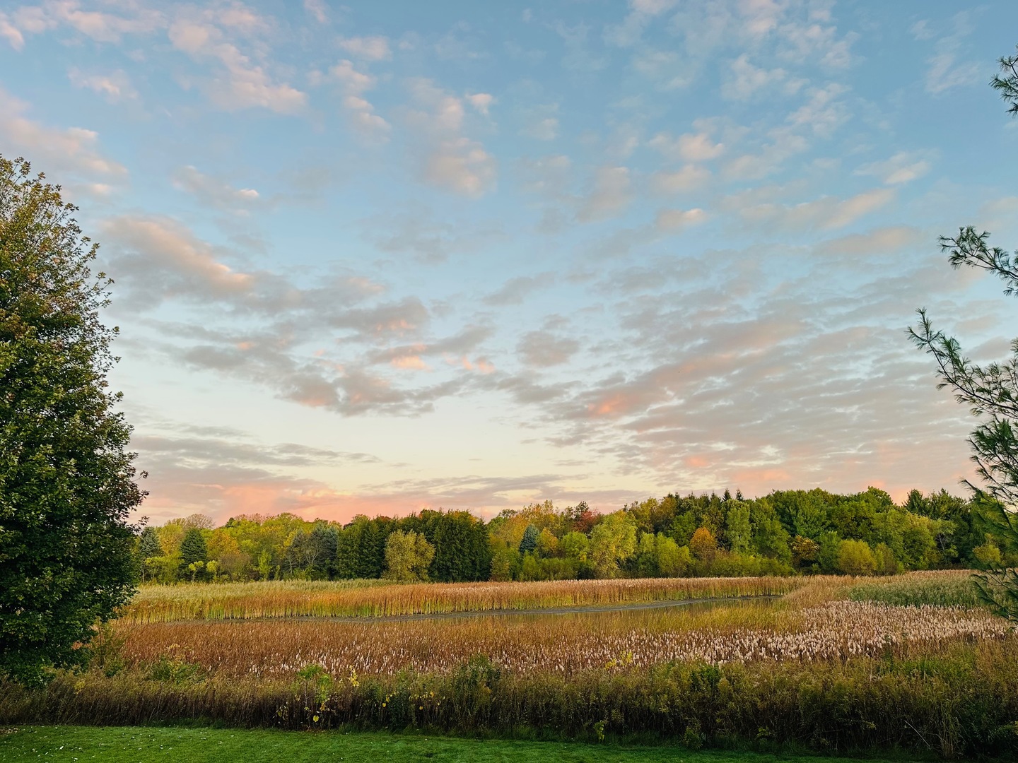 39W578 Newton Square, Geneva, IL 60134