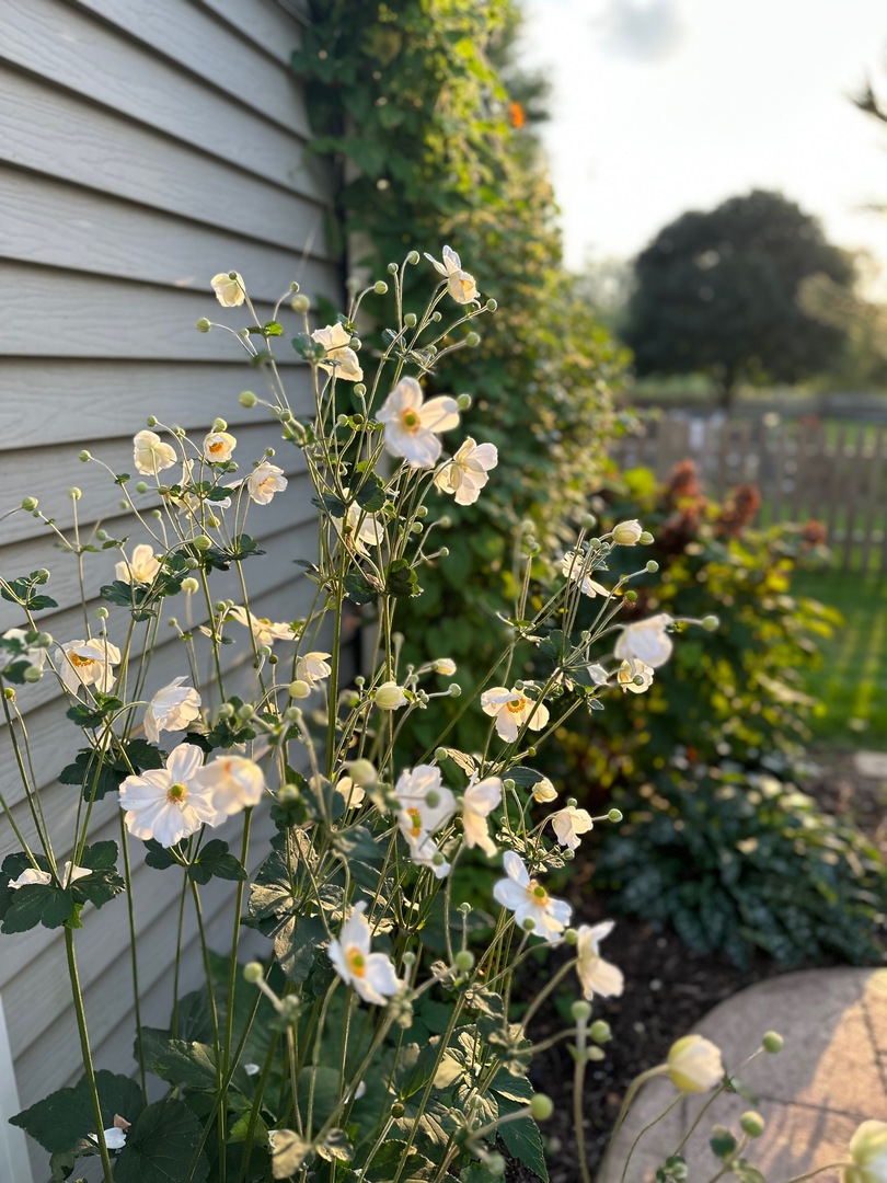 39W578 Newton Square, Geneva, IL 60134