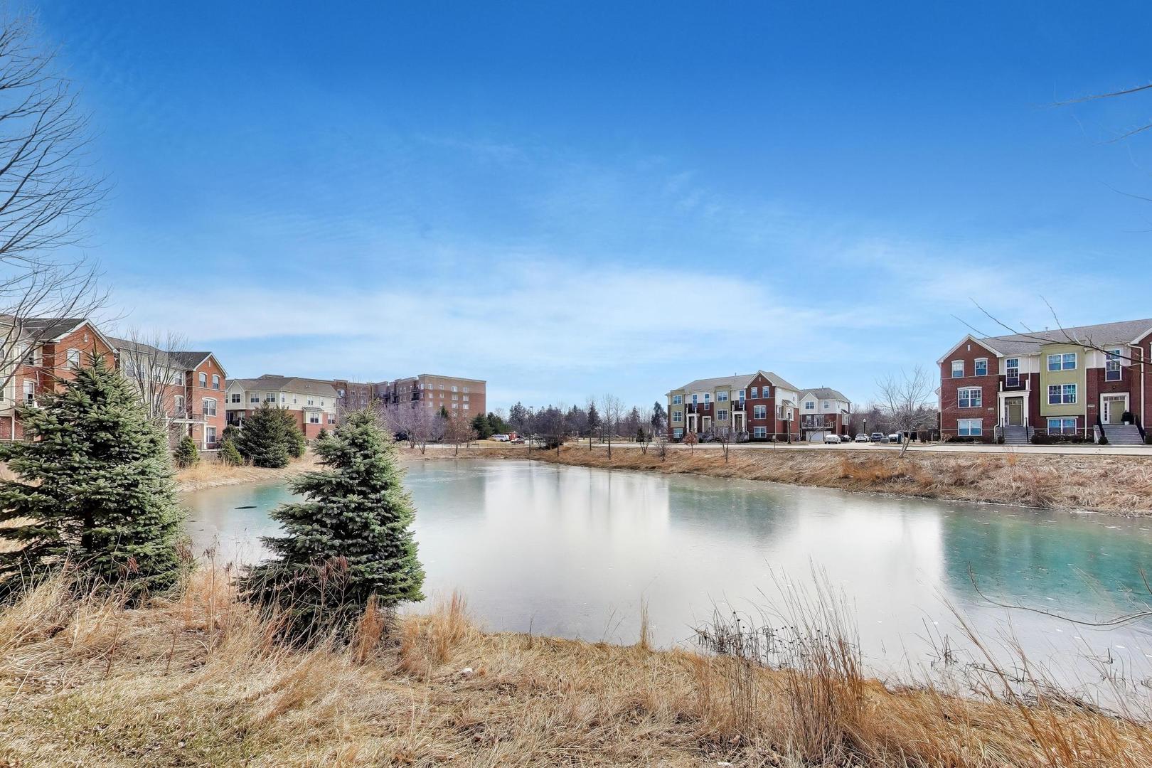 1199 E Port Clinton Road #311, Vernon Hills, IL 60061