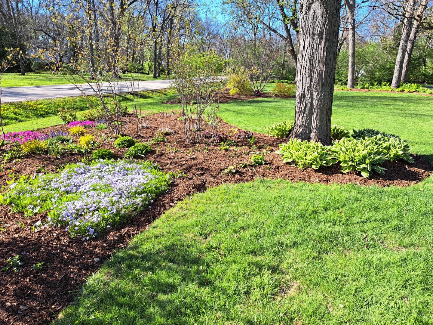 3459 W Mardan Drive, Long Grove, IL 60047