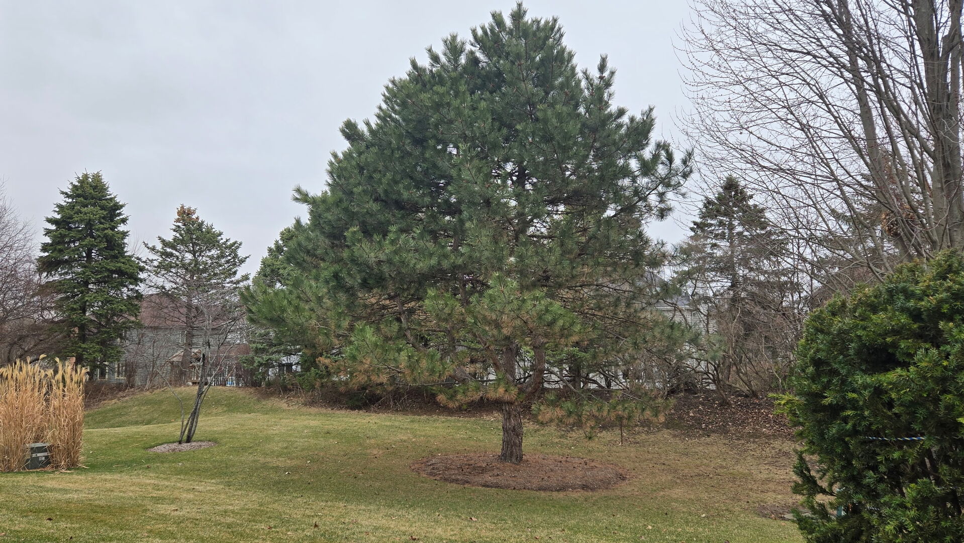 1151 Barkston Lane, Aurora, IL 60502