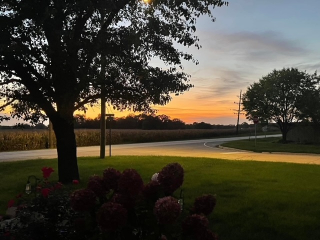 801 Phyllis Drive, Wilmington, IL 60481