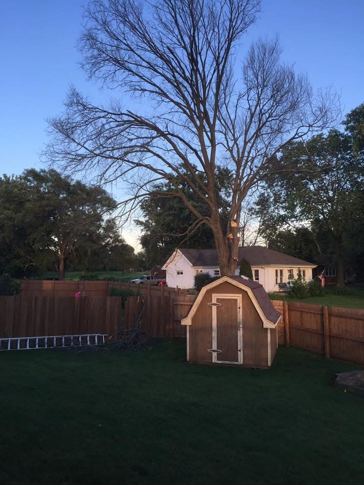 801 Phyllis Drive, Wilmington, IL 60481