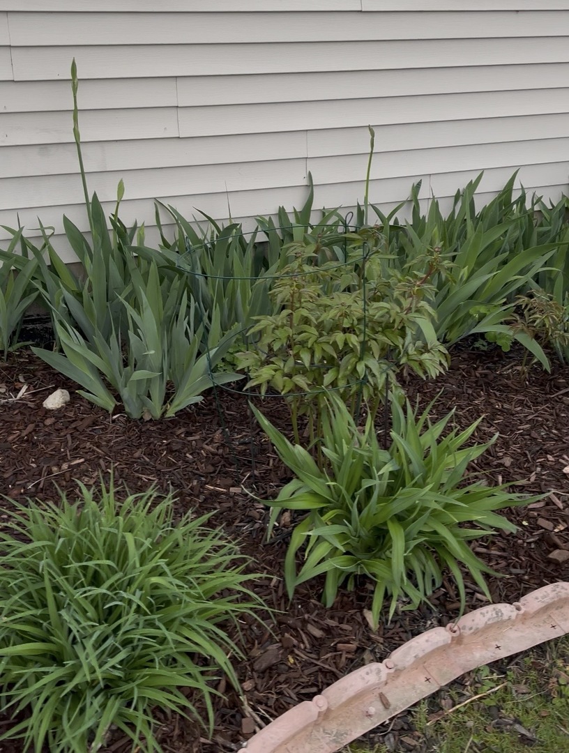 8021 Harrier Avenue, Joliet, IL 60431