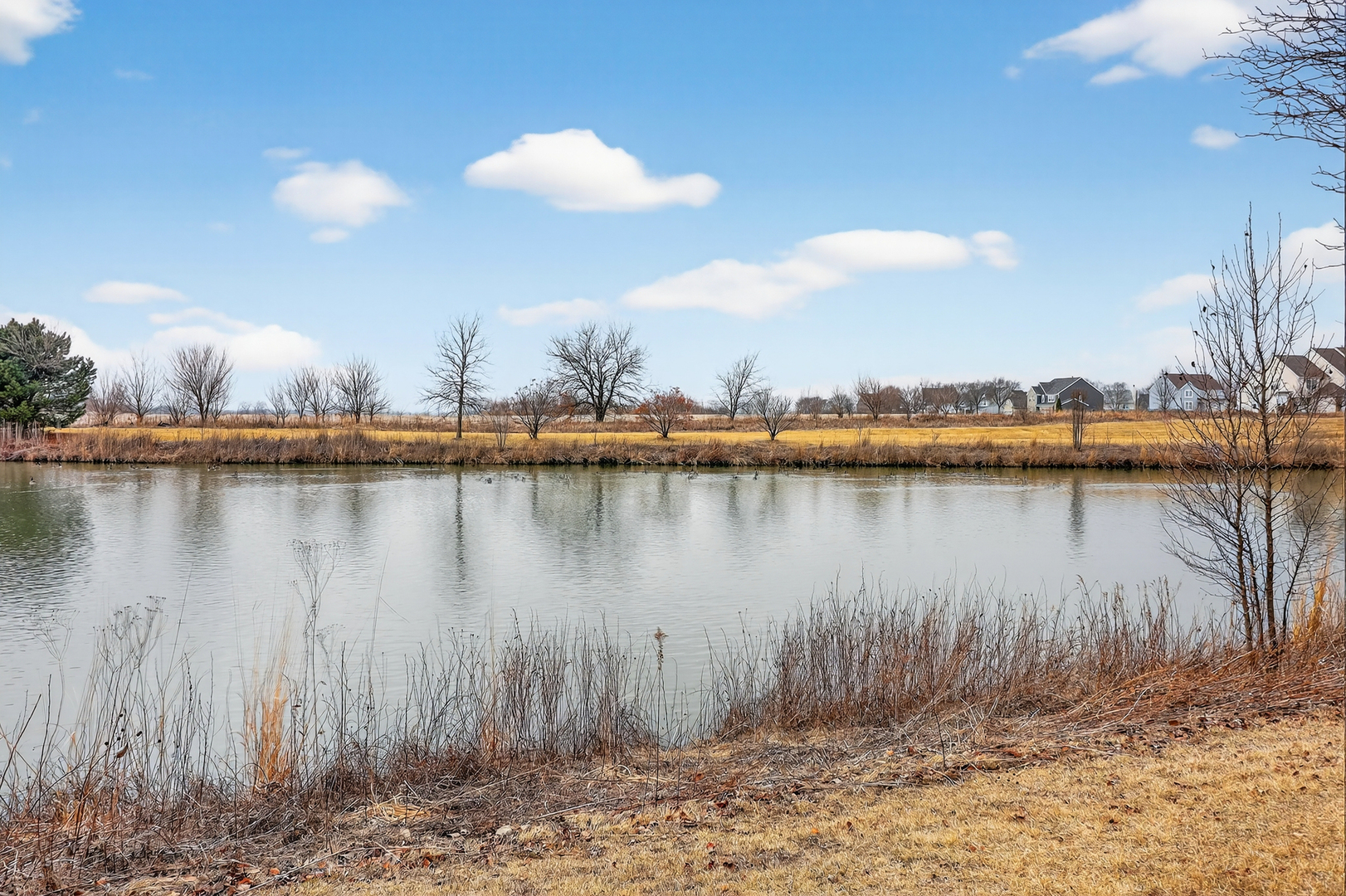 8021 Harrier Avenue, Joliet, IL 60431