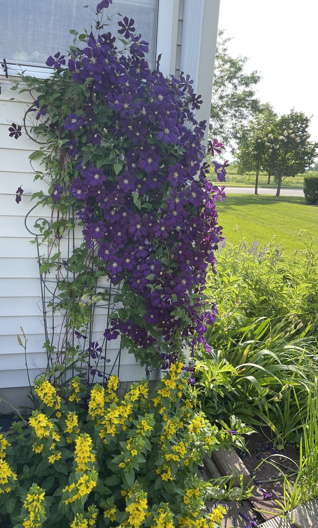 8021 Harrier Avenue, Joliet, IL 60431