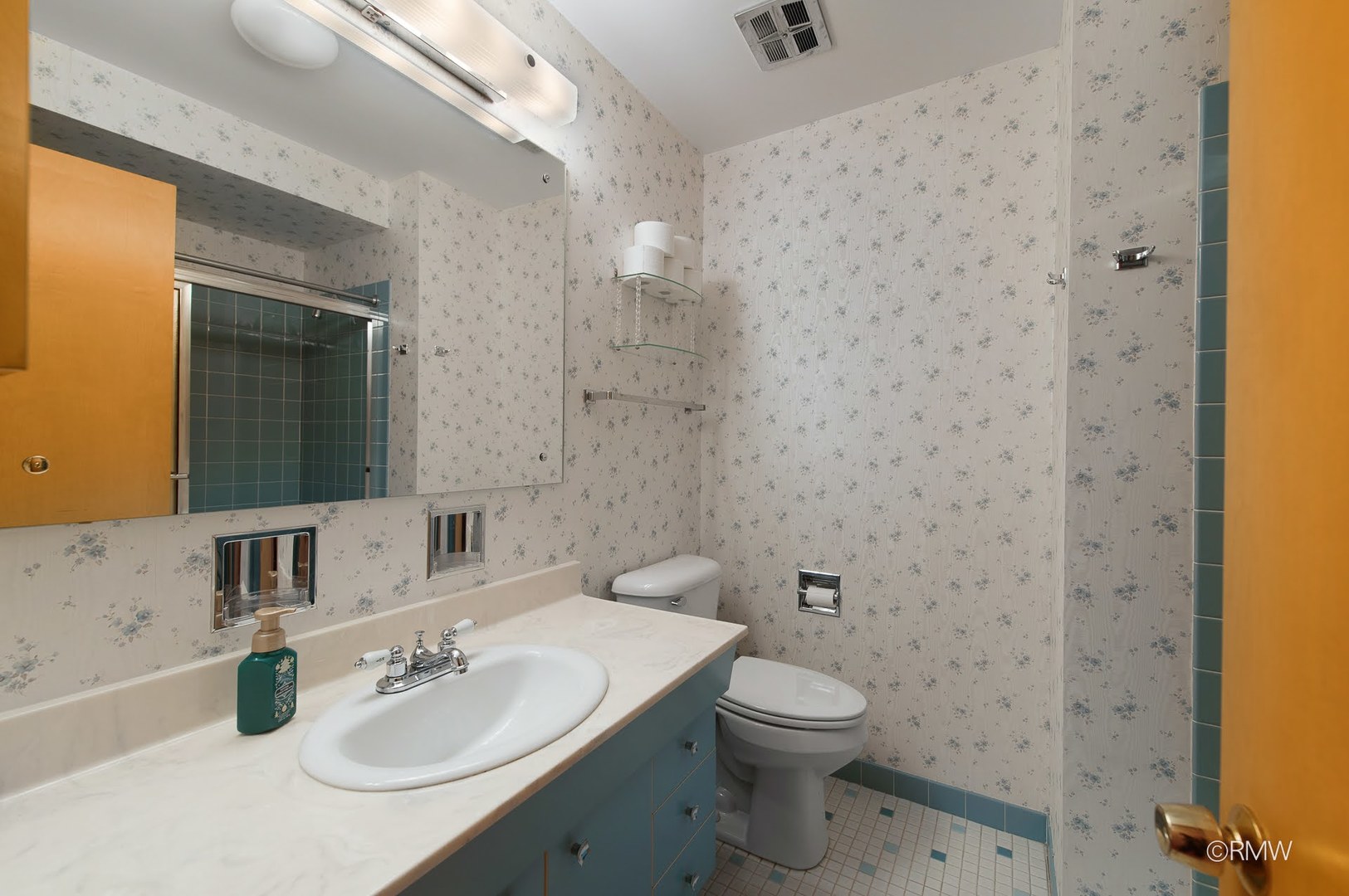 910 S Robert Drive, Mount Prospect, IL 60056