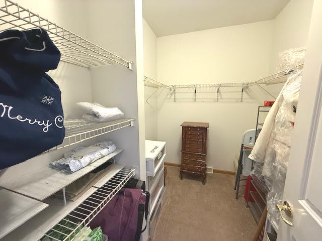 76 ROCKING HORSE Lane, Grayslake, IL 60046