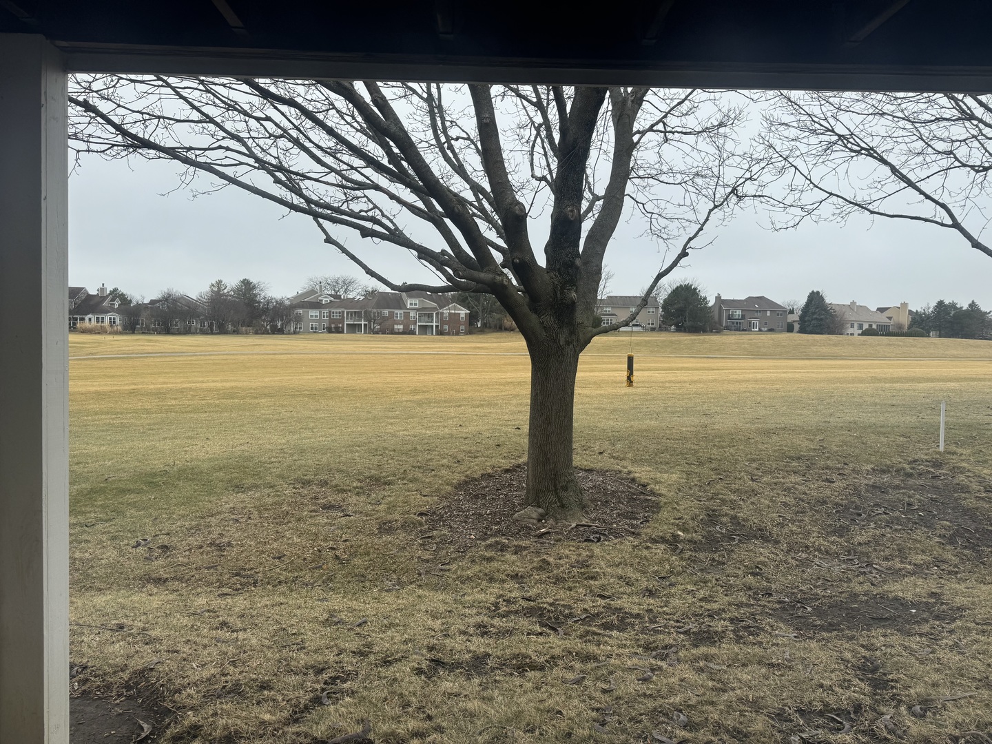 1621 Glengarry Court #1621, Algonquin, IL 60102