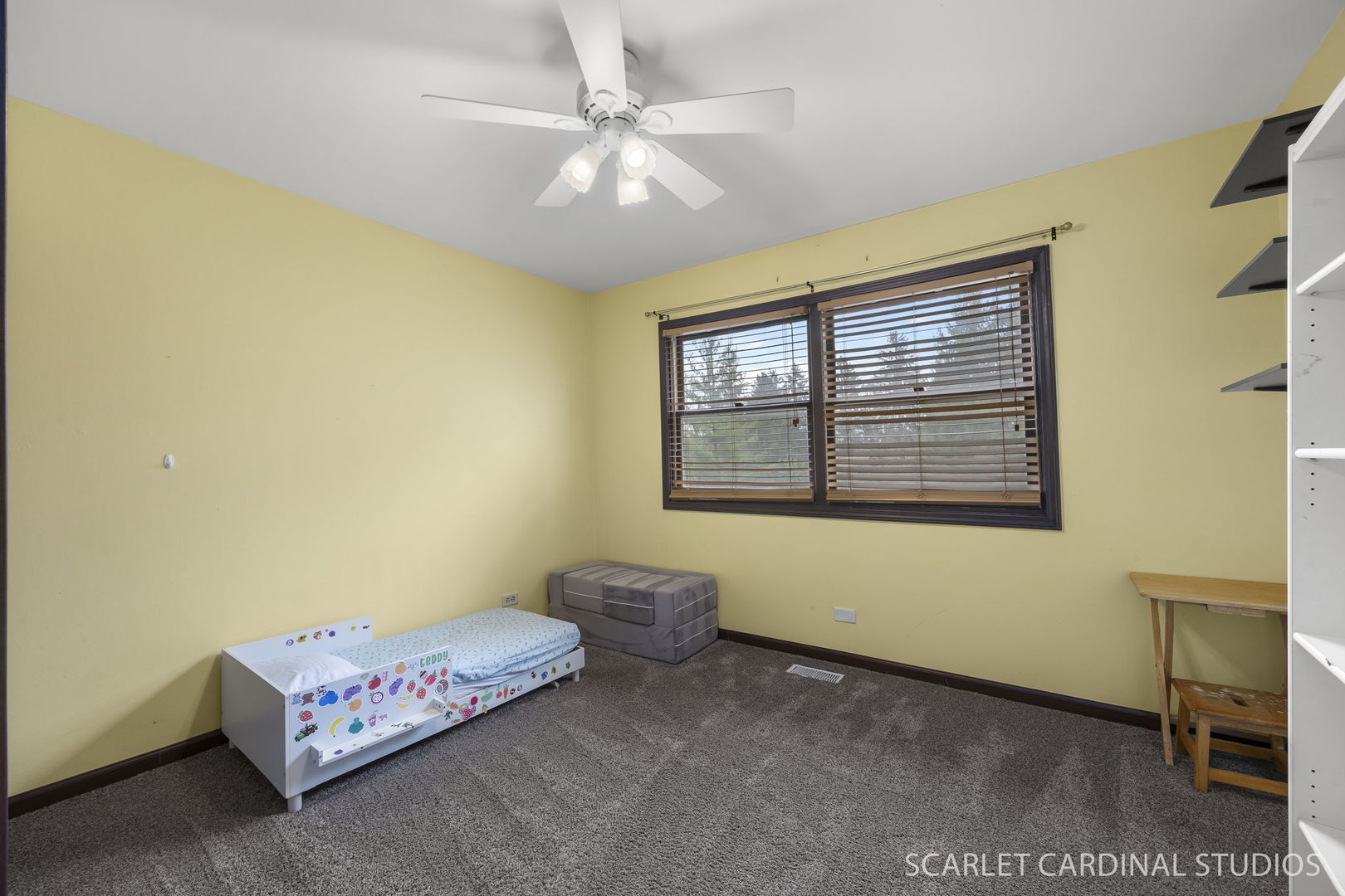 29W509 Point Oak Drive, Warrenville, IL 60555