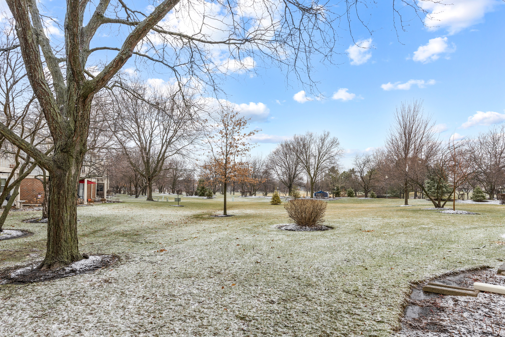 2838 Meadow Lane #W-2, Schaumburg, IL 60193