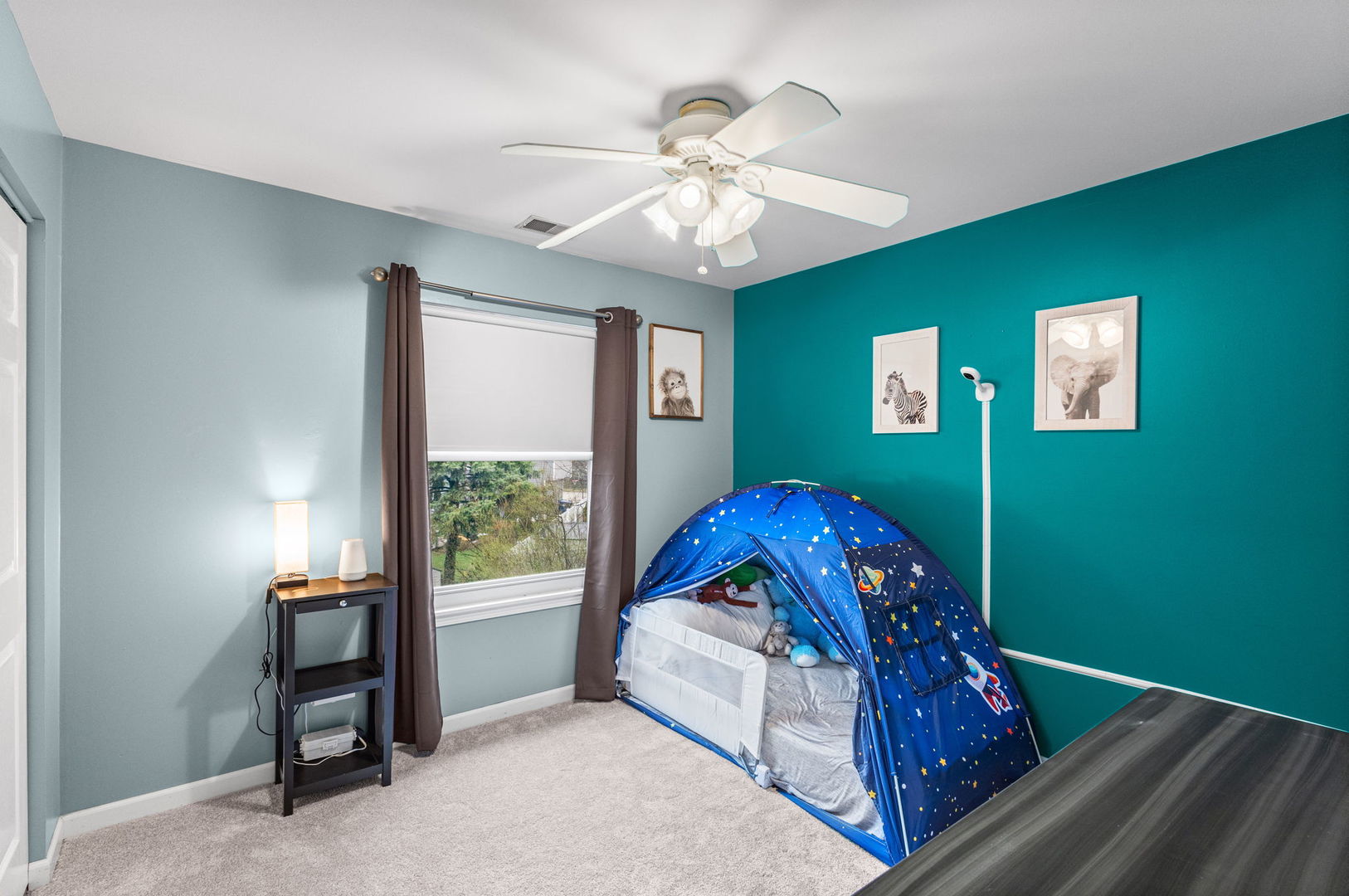 1060 Selma Lane, Naperville, IL 60540