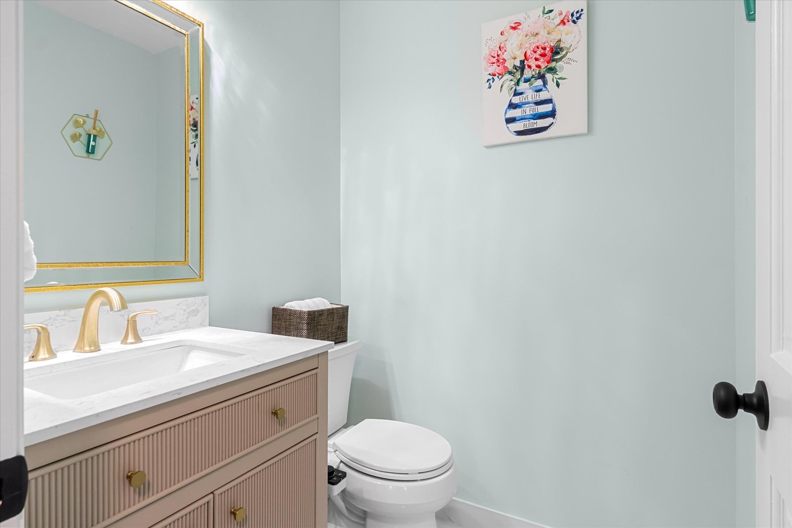 1763 Frost Lane, Naperville, IL 60564