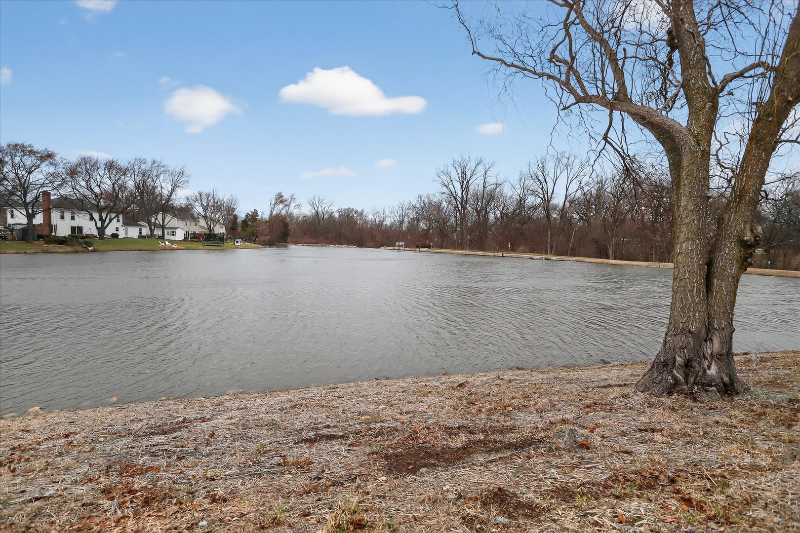 217 New Bridge Court, Palatine, IL 60067