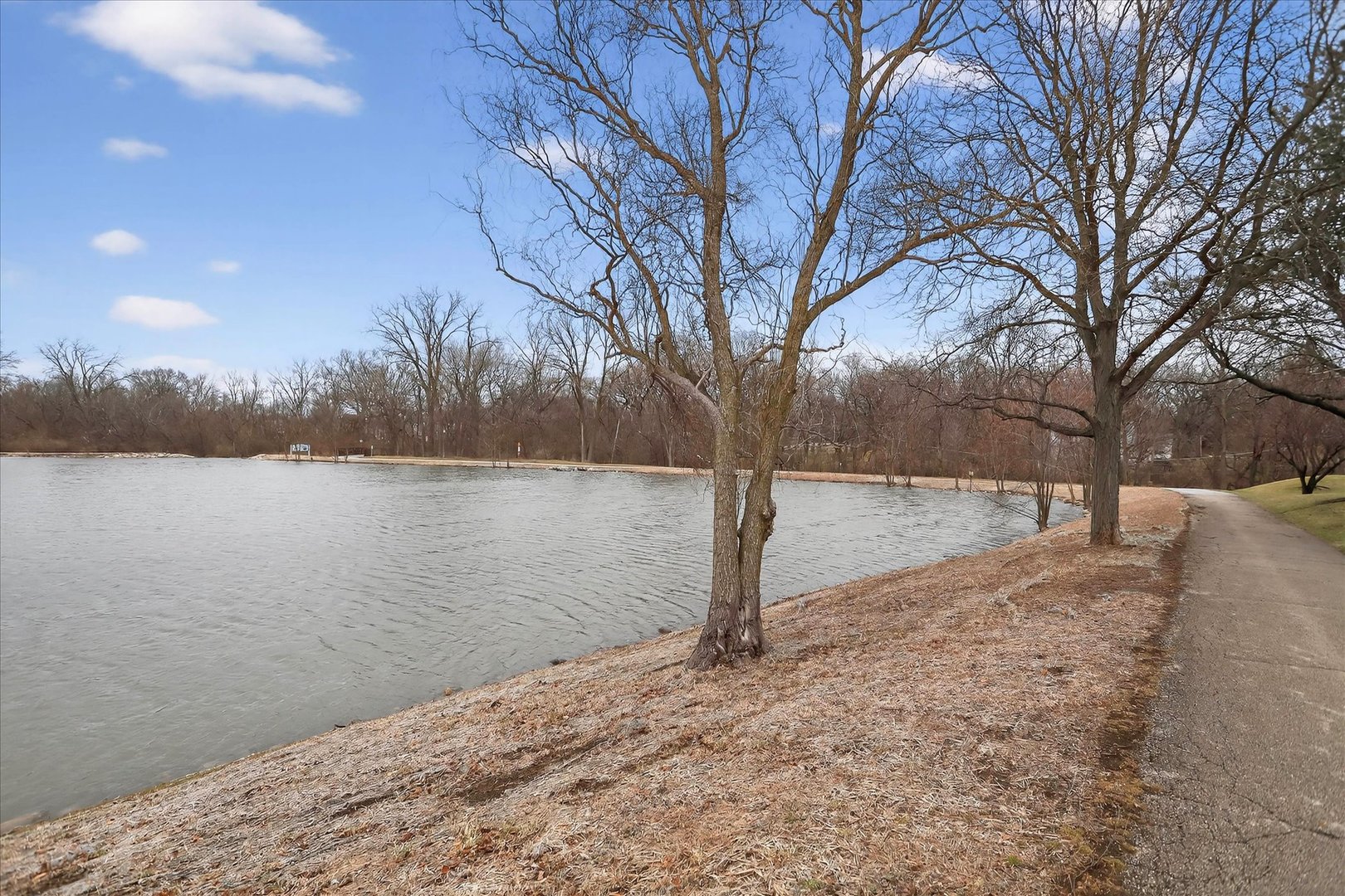 217 New Bridge Court, Palatine, IL 60067