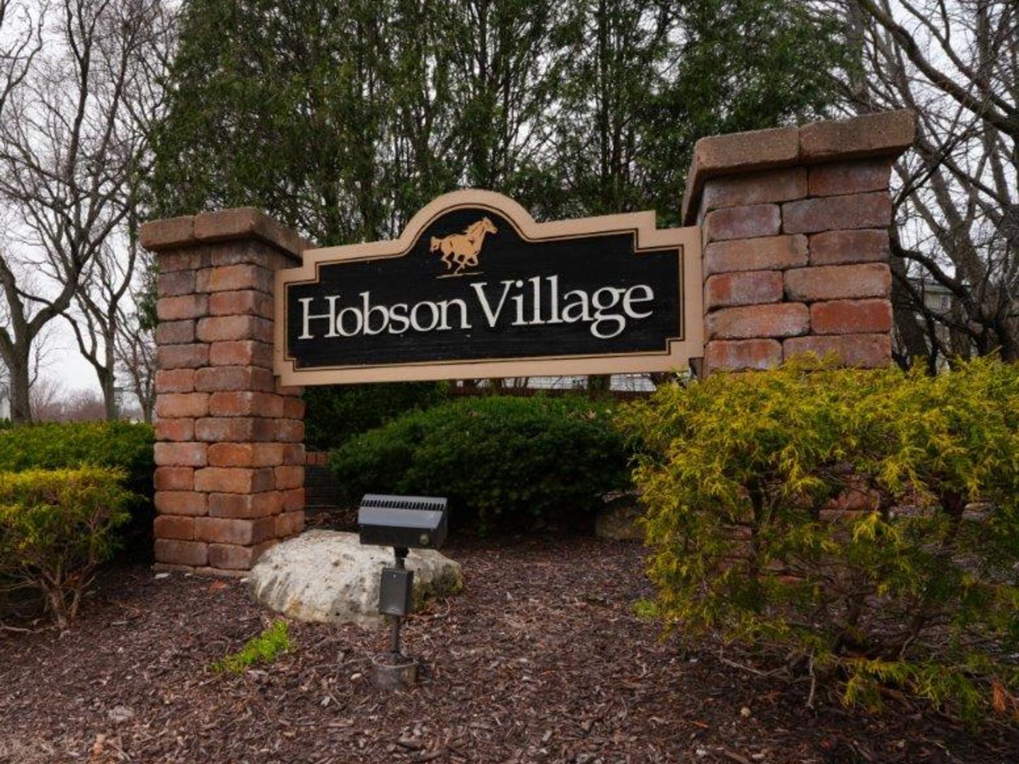 1006 Whirlaway Avenue, Naperville, IL 60540