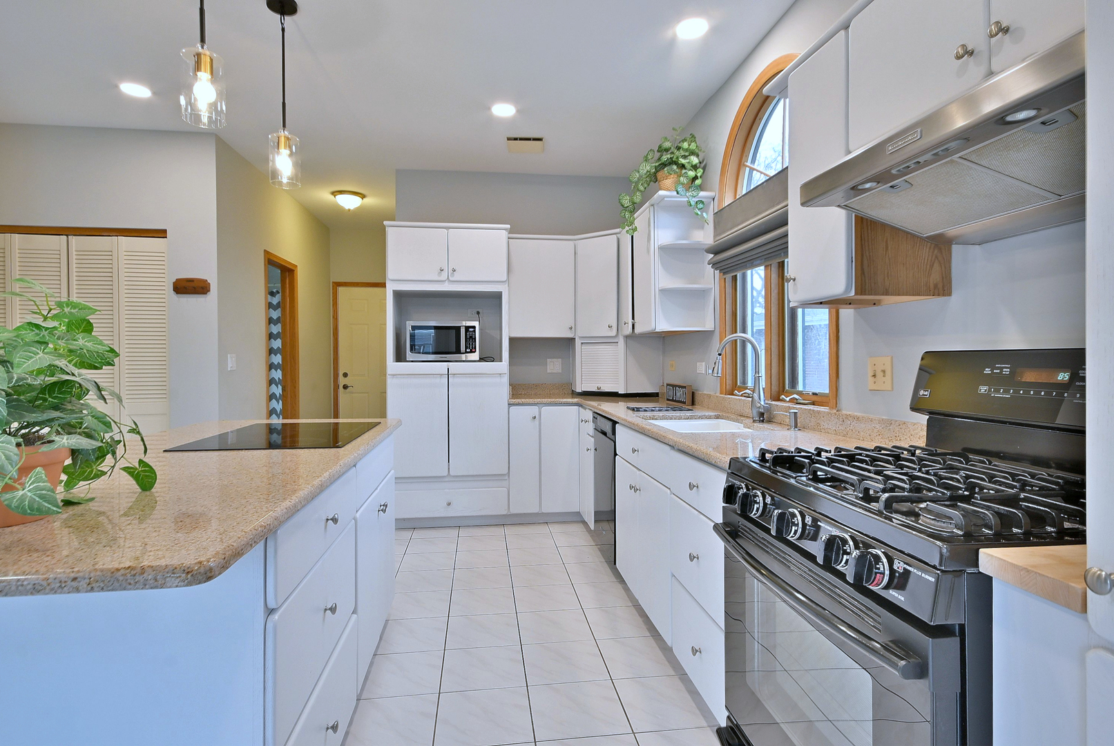 244 S Linden Avenue, Elmhurst, IL 60126