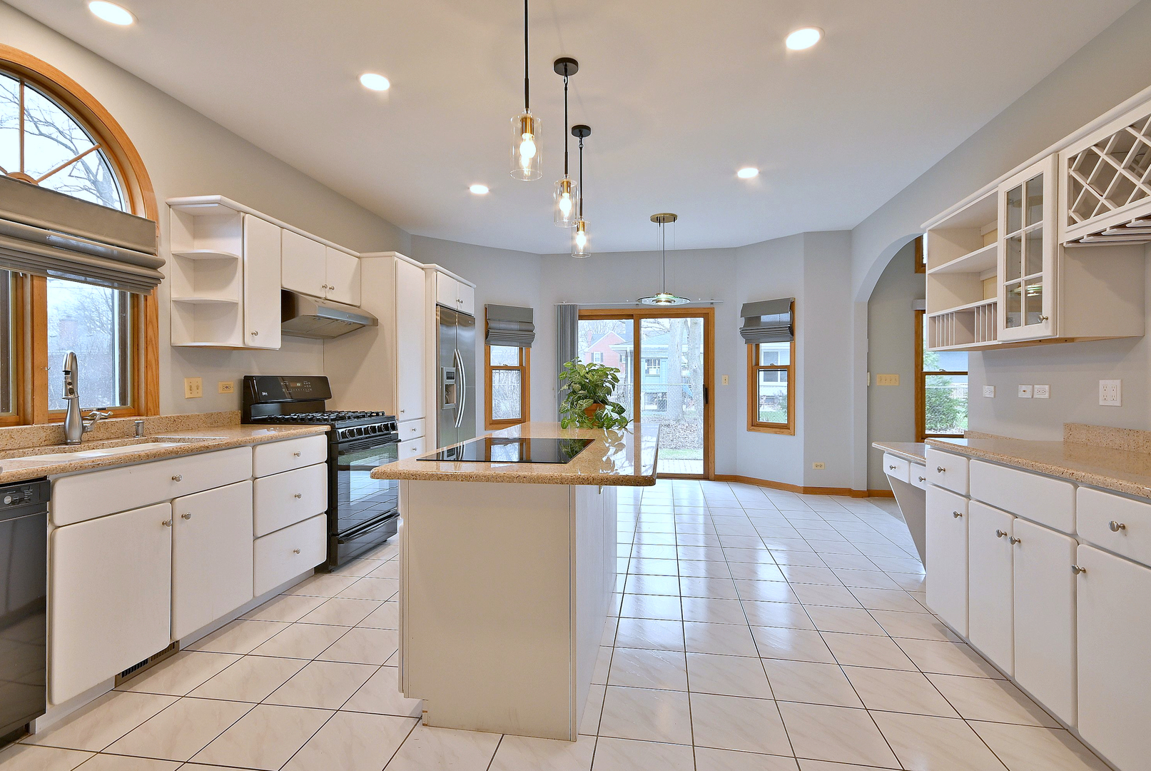 244 S Linden Avenue, Elmhurst, IL 60126