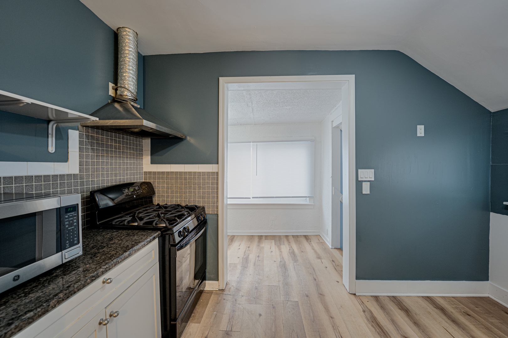 264 N Jackson Street #2, Elgin, IL 60123