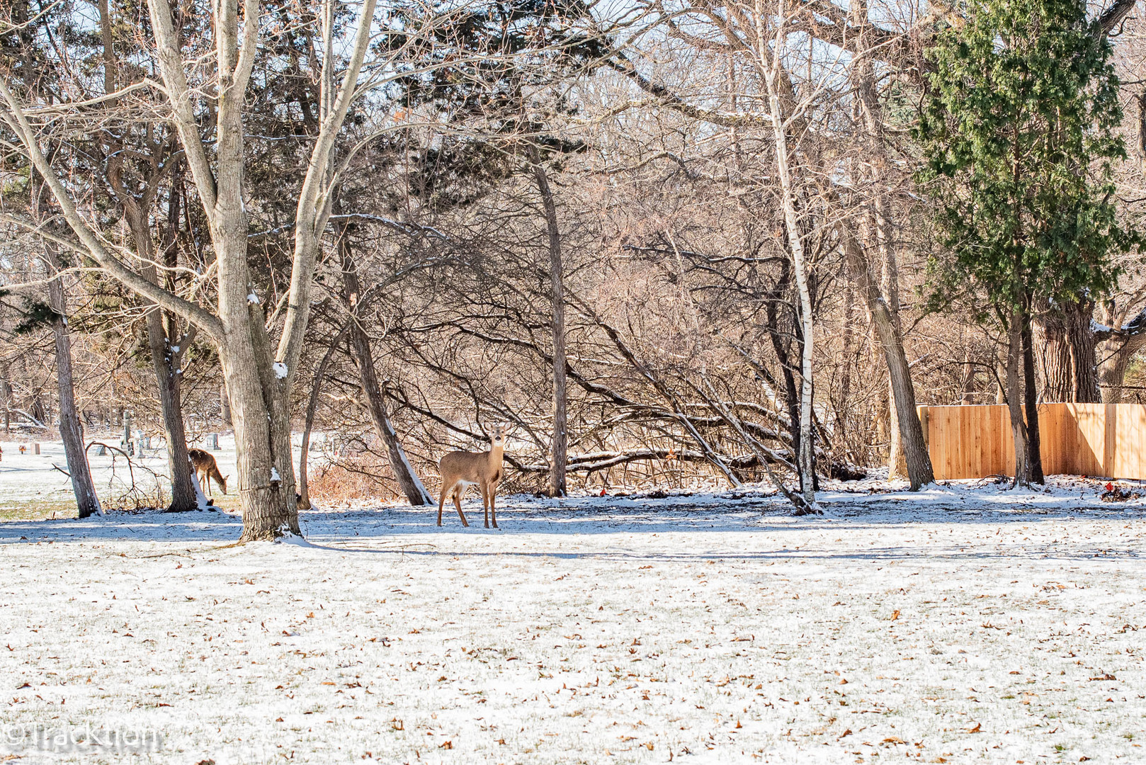 3310 Coventry Court, Joliet, IL 60431