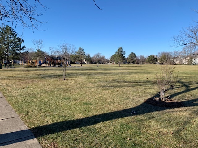 1028 Beninford Lane, Westmont, IL 60559