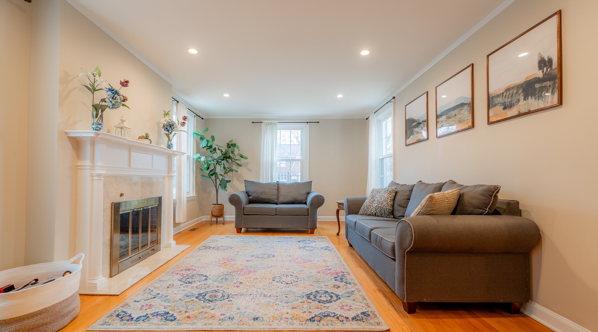 803 S Vine Avenue, Park Ridge, IL 60068