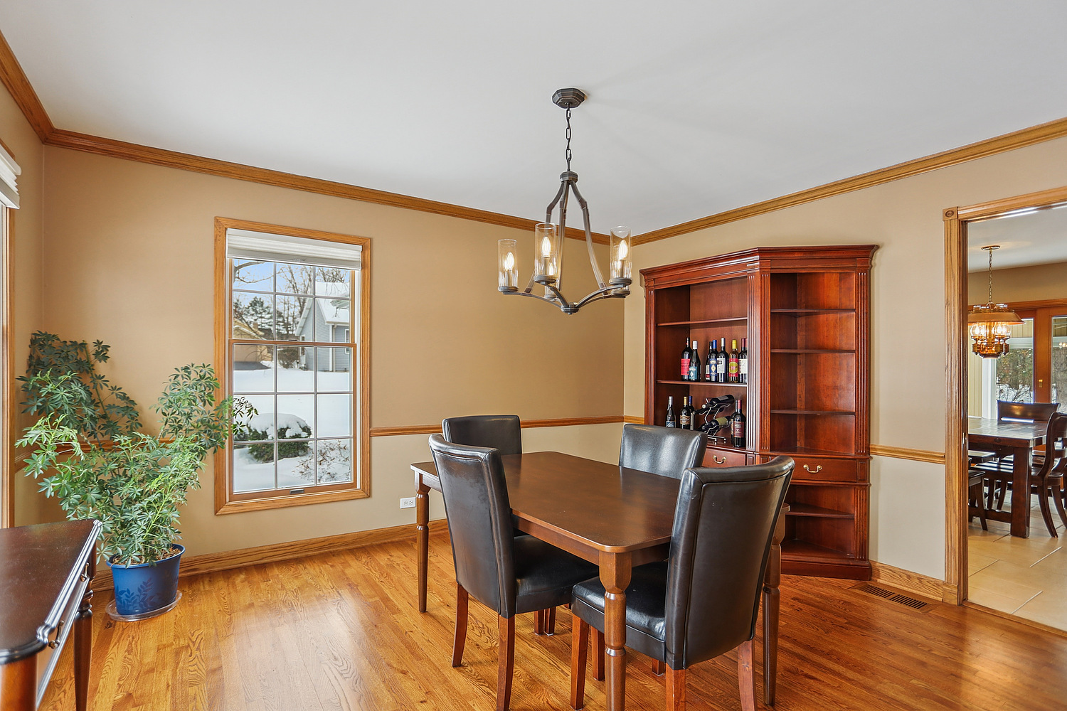 580 Moray Terrace, Crete, IL 60417