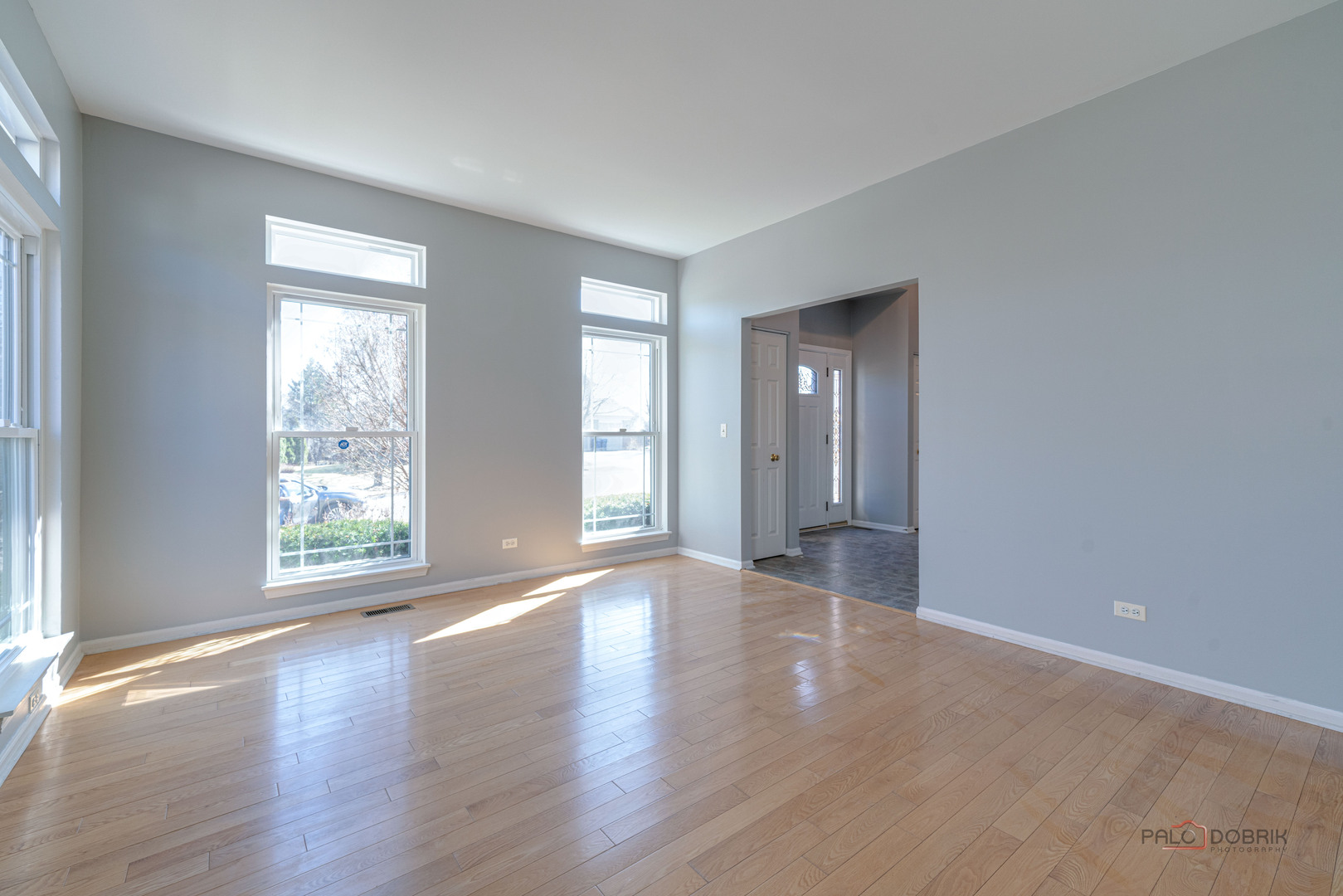 36856 N Deer Trail Drive, Lake Villa, IL 60046