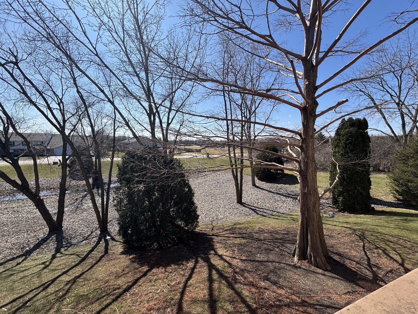 615 Mallard Court #C2, Bartlett, IL 60103