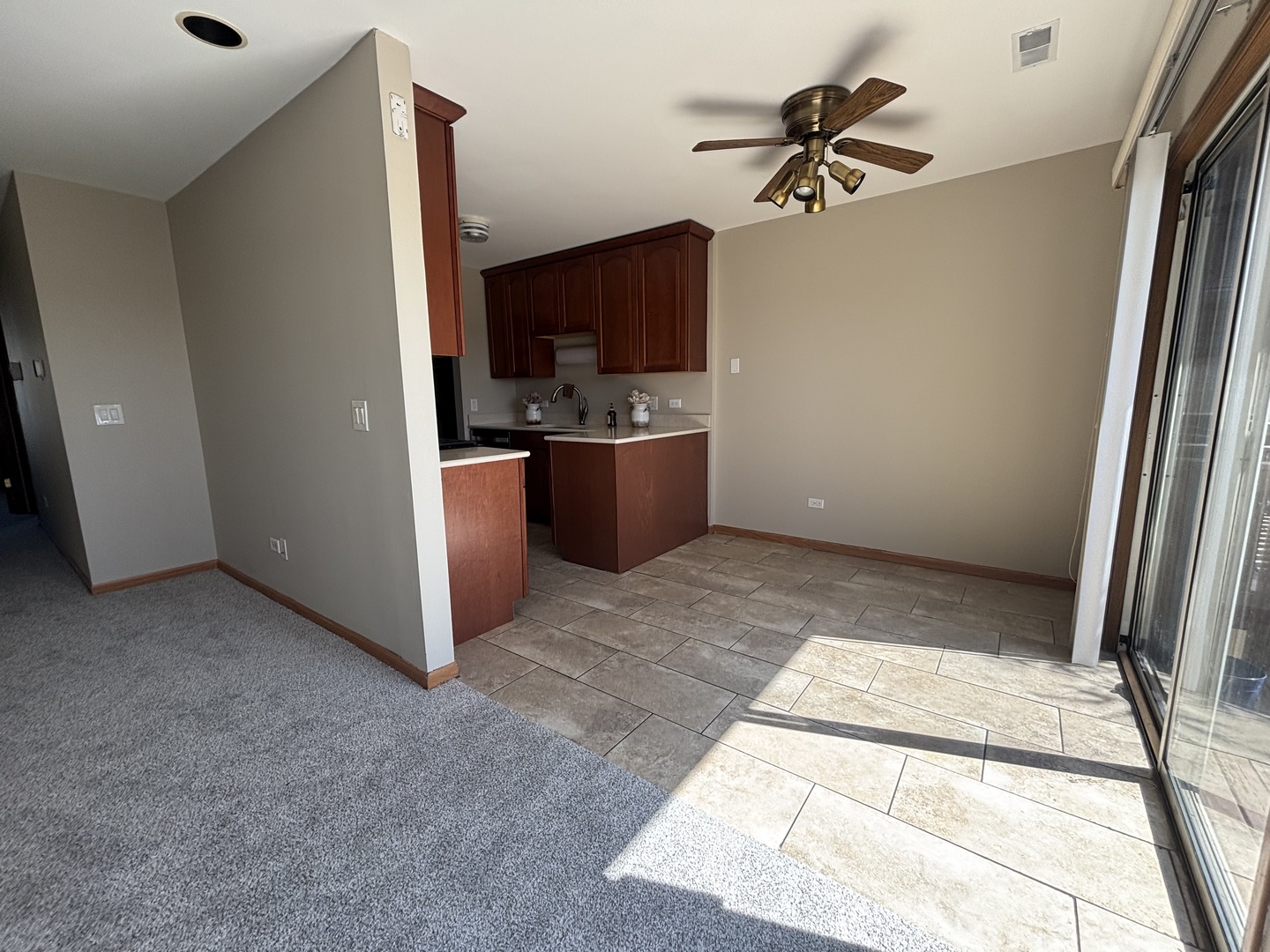 615 Mallard Court #C2, Bartlett, IL 60103