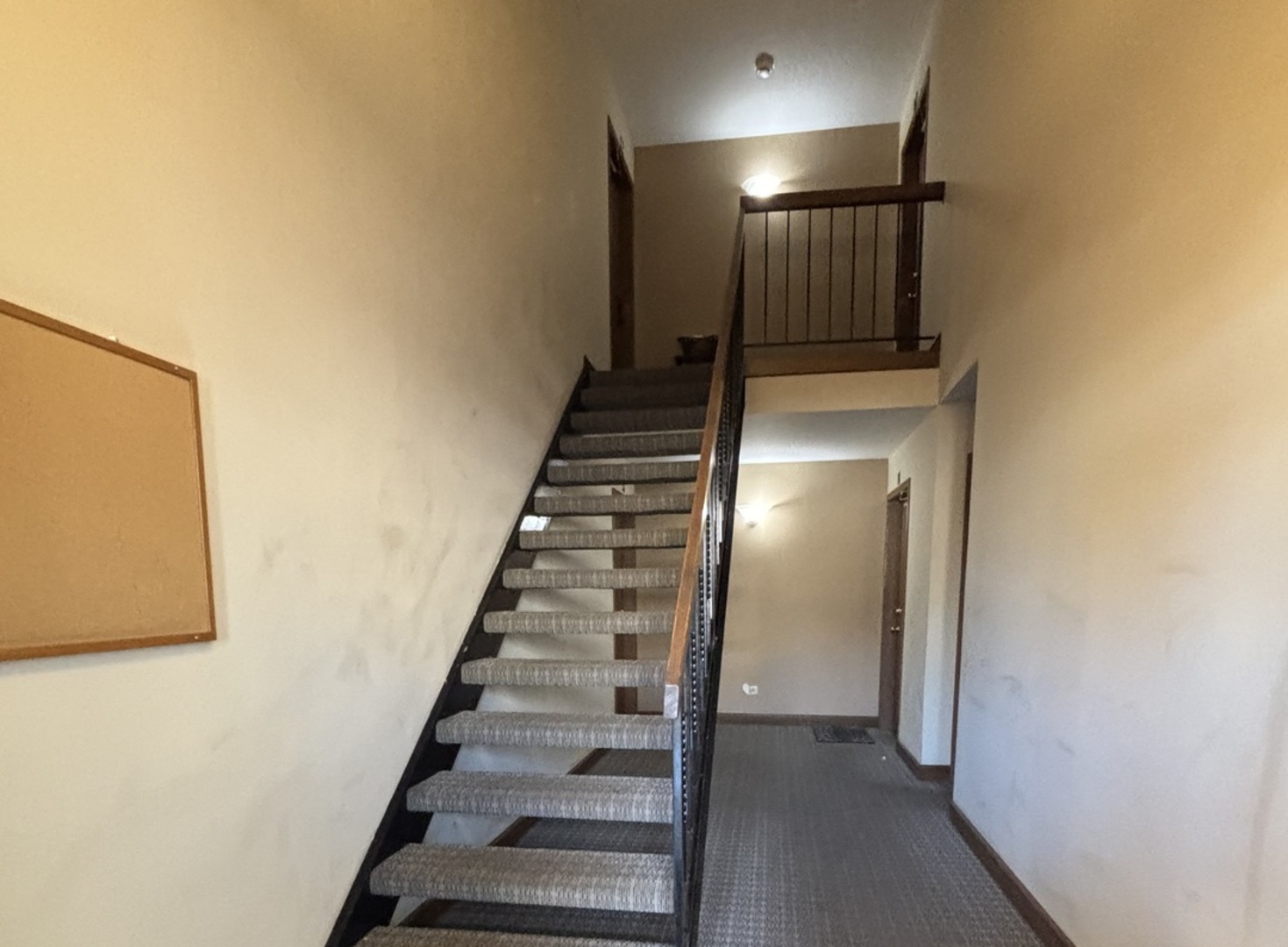 615 Mallard Court #C2, Bartlett, IL 60103