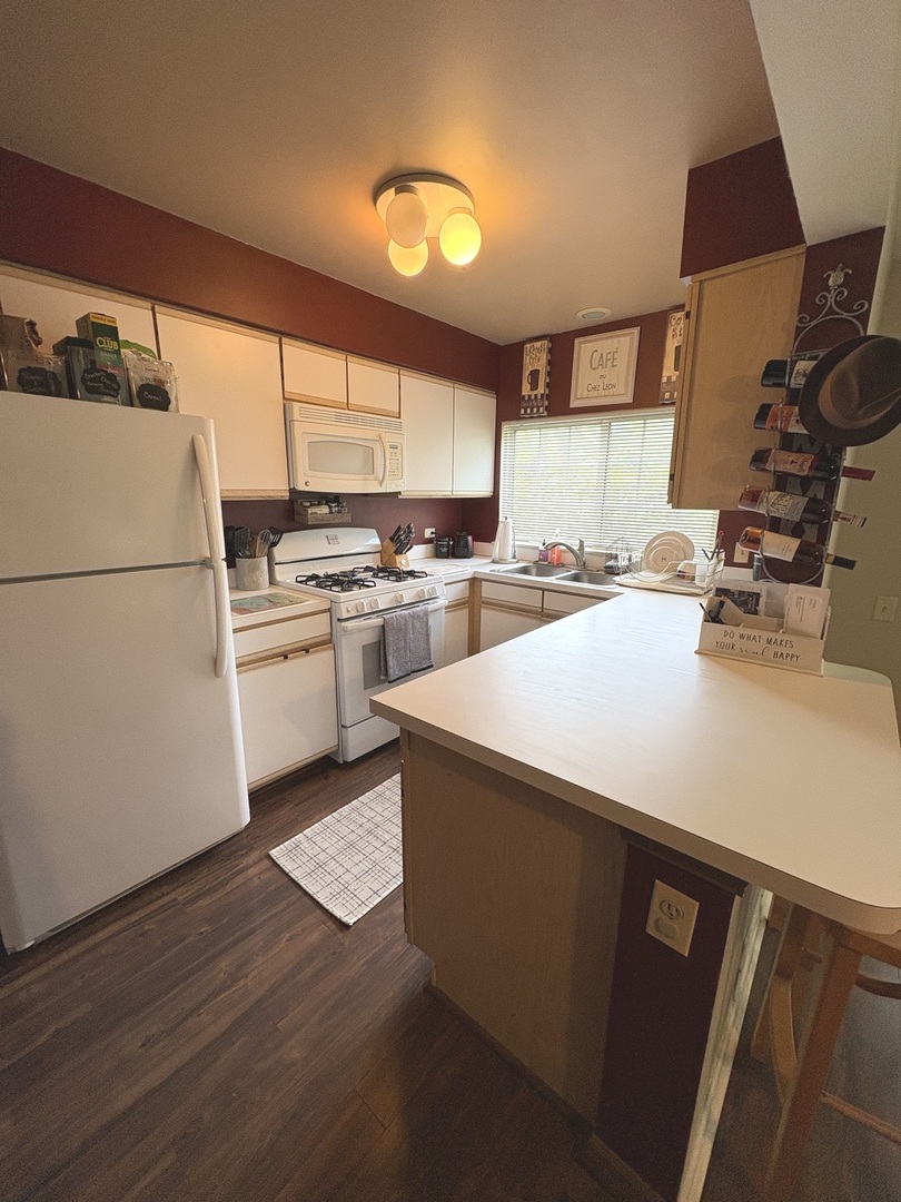 2038 College Green Drive, Elgin, IL 60123