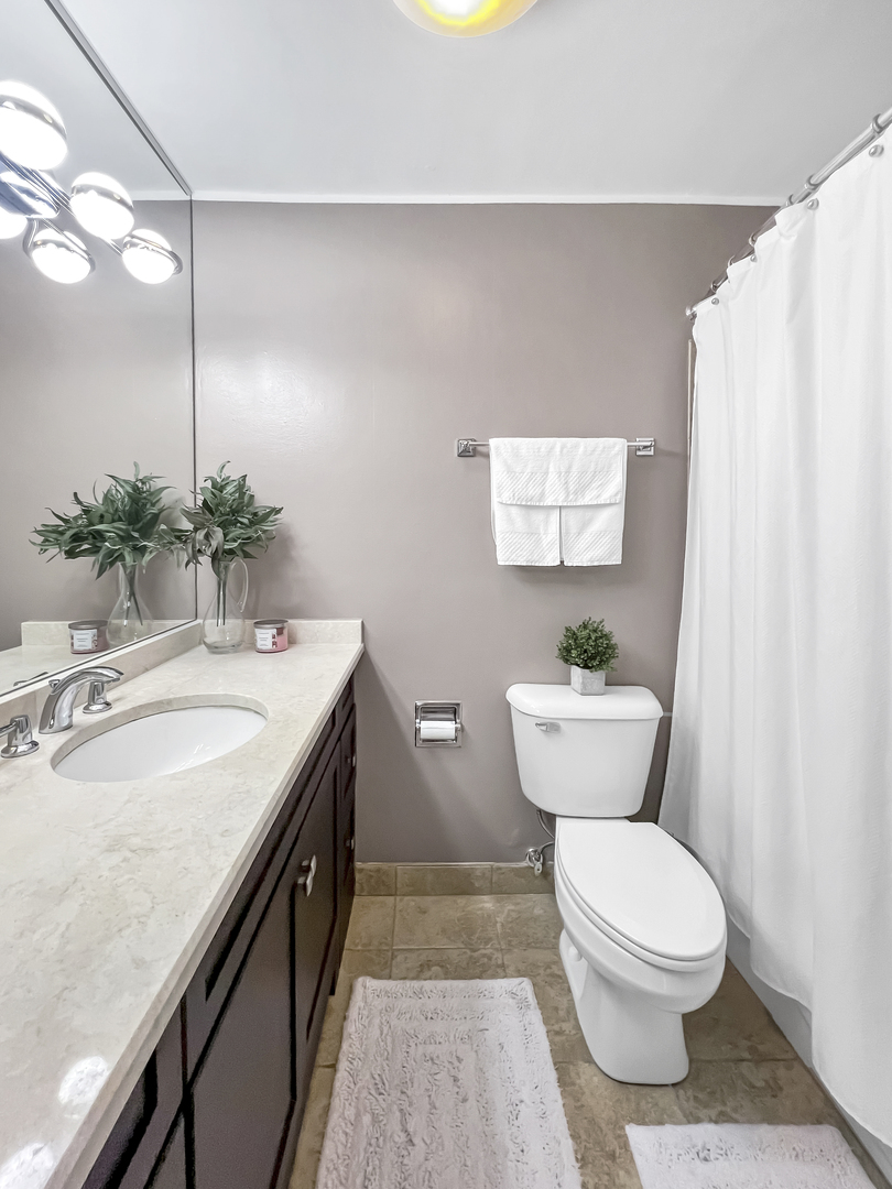 70 W Burton Place #301F, Chicago, IL 60610