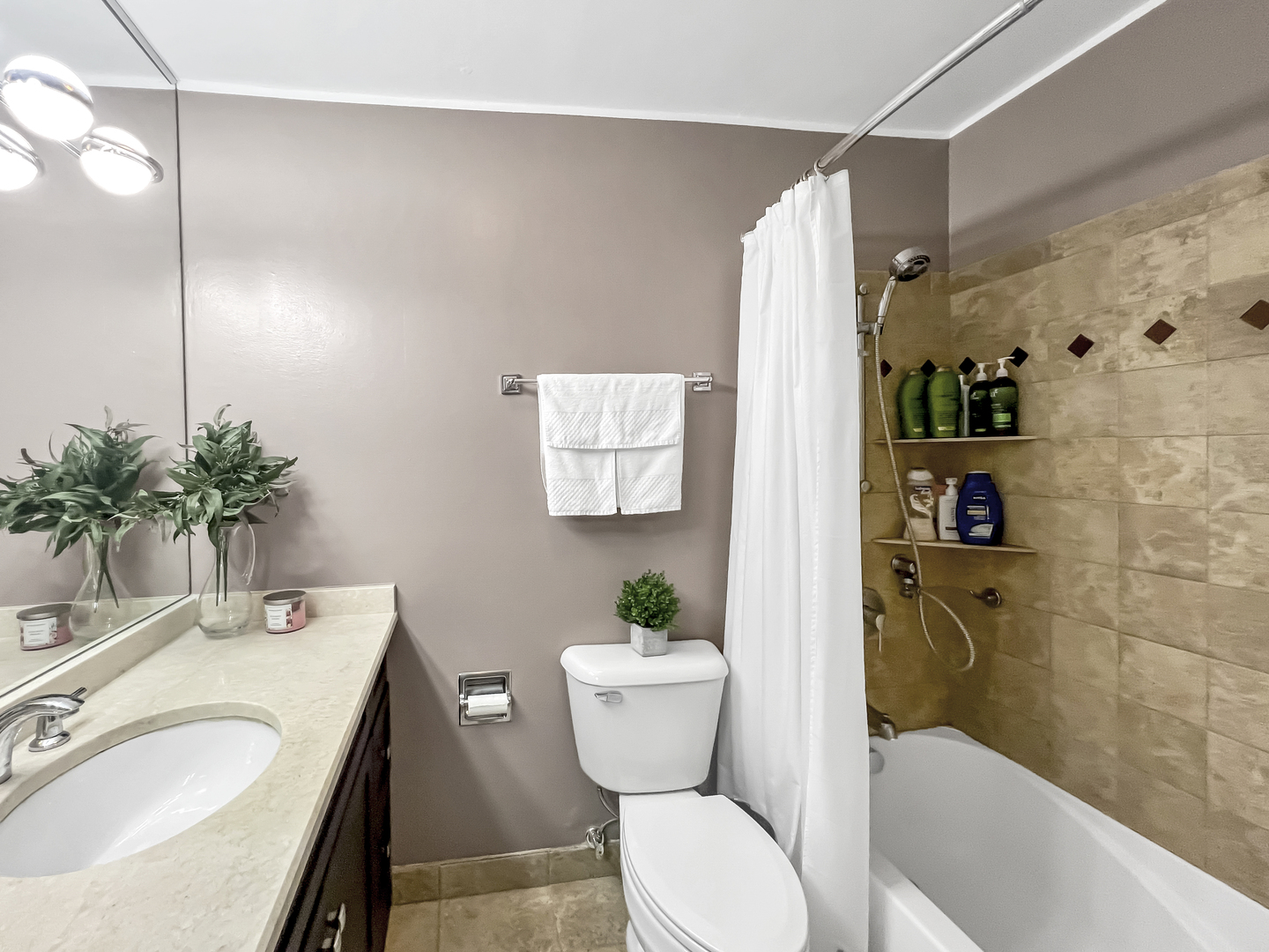 70 W Burton Place #301F, Chicago, IL 60610