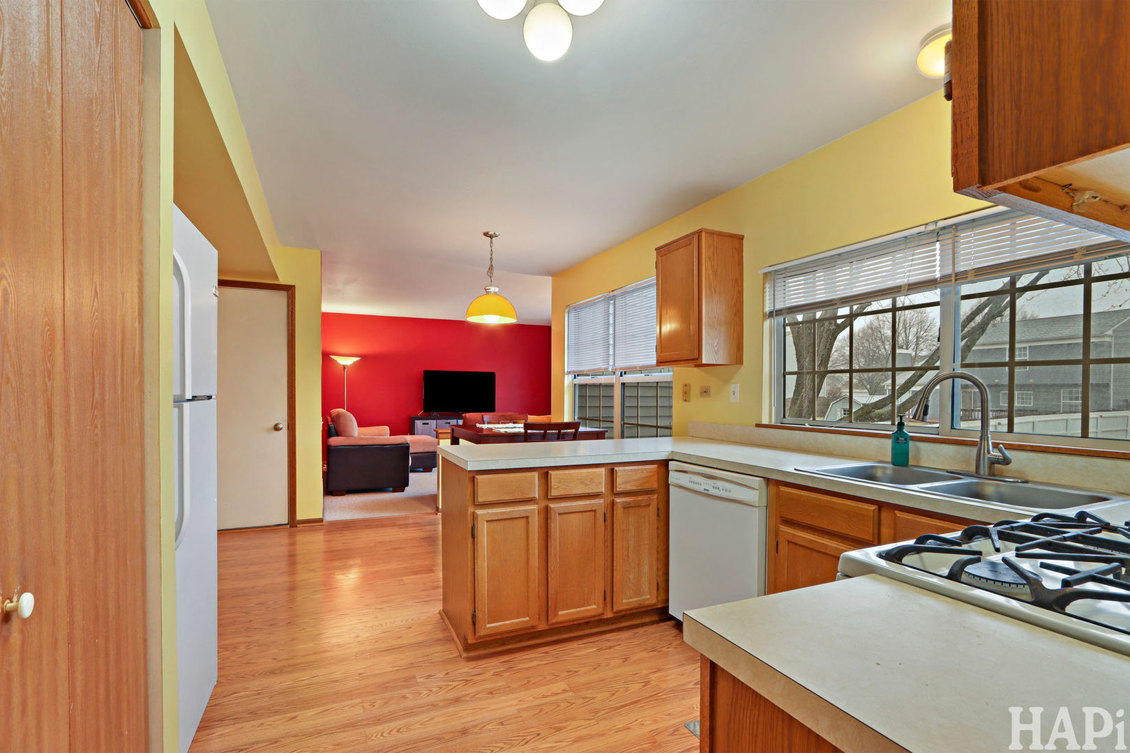 974 Annandale Drive, Elgin, IL 60123