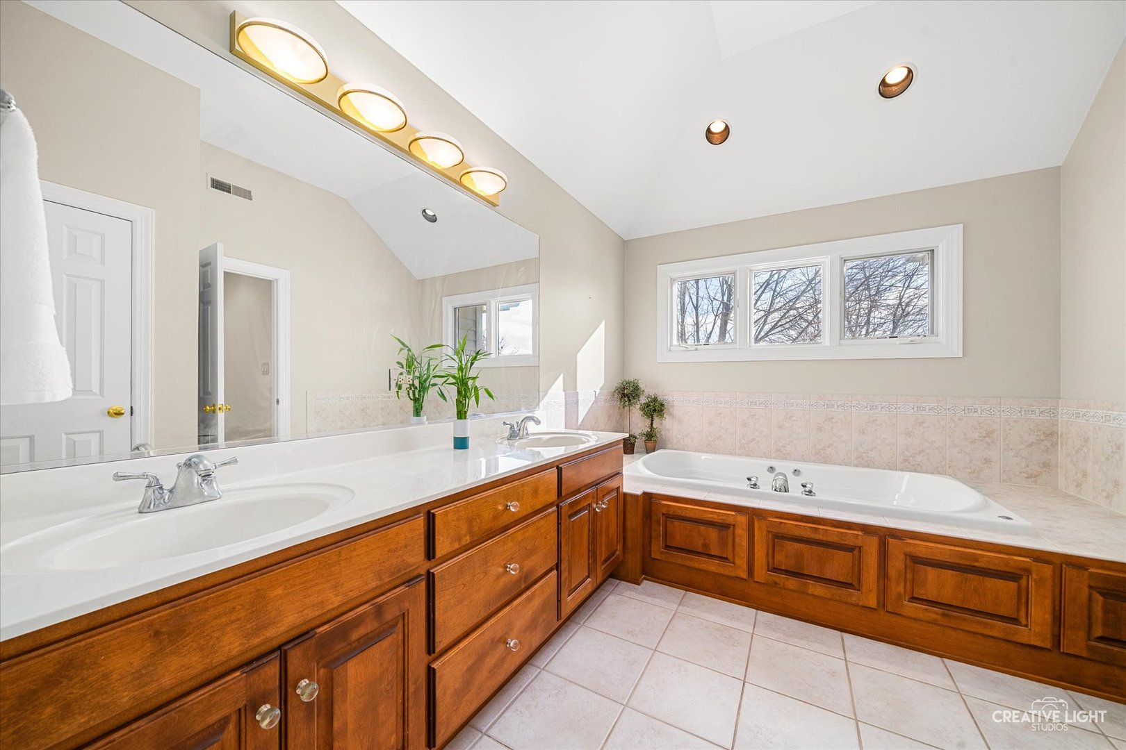 364 AVENA Circle, Naperville, IL 60565