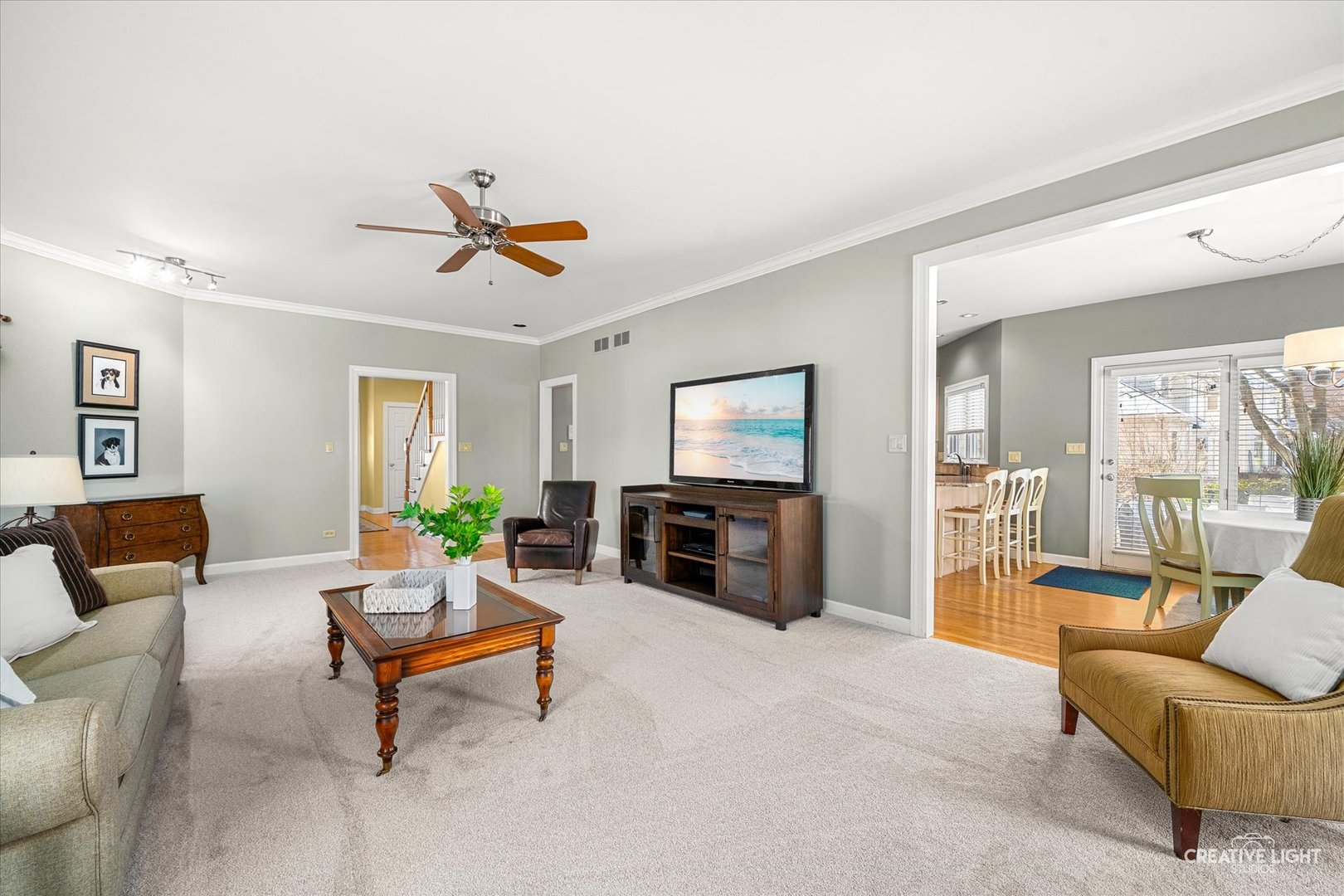 364 AVENA Circle, Naperville, IL 60565