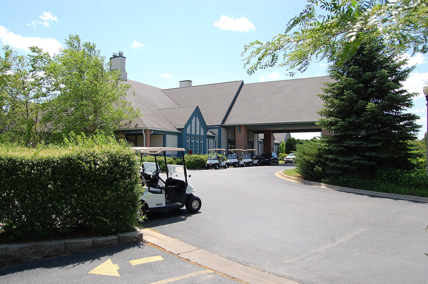 115 Ruffled Feathers Drive, Lemont, IL 60439