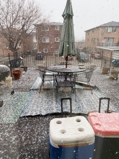 81 Oglesby Avenue, Calumet City, IL 60409