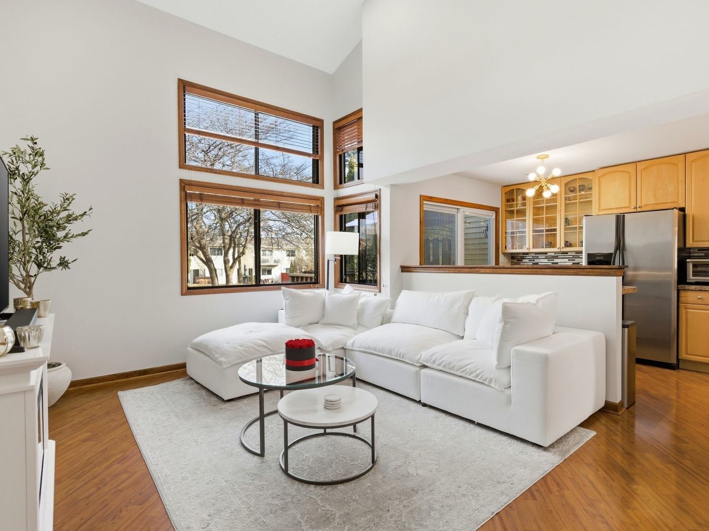 1013 Chatham Place, Vernon Hills, IL 60061