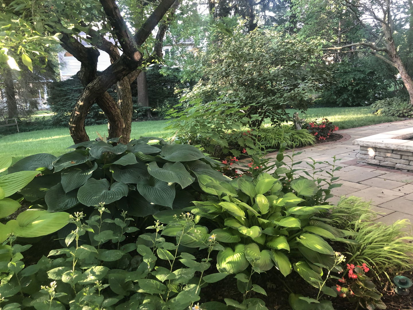 500 Buckingham Place, Downers Grove, IL 60516