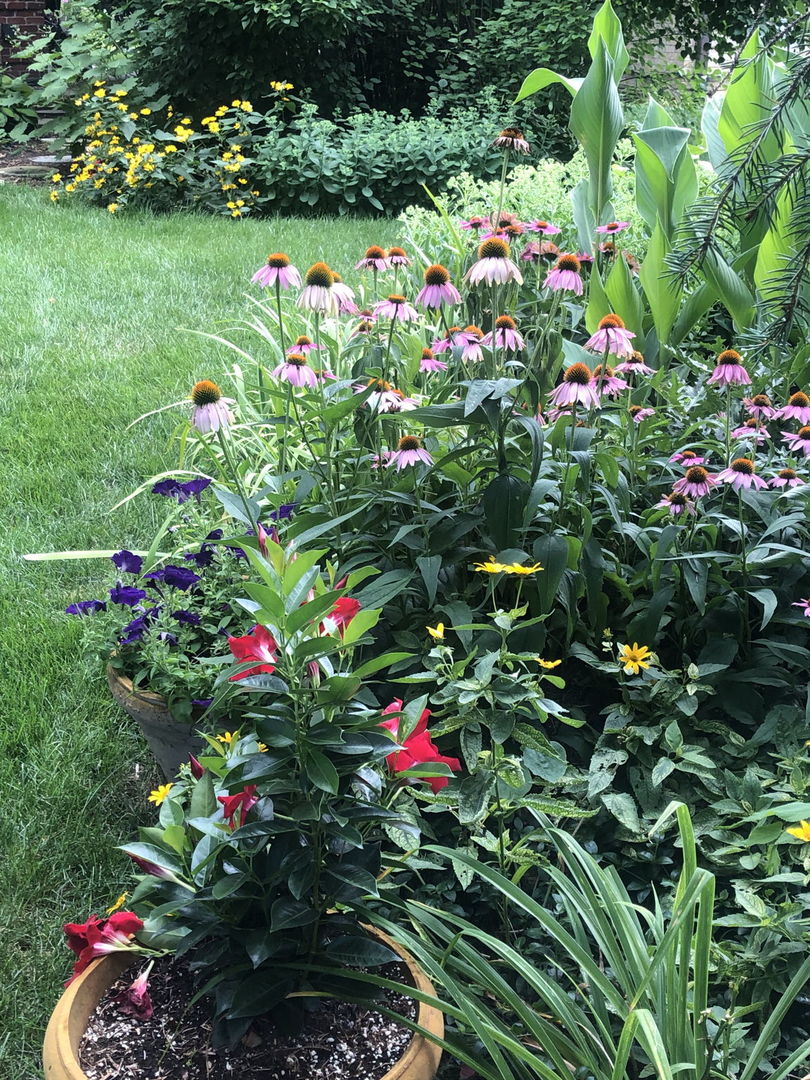 500 Buckingham Place, Downers Grove, IL 60516