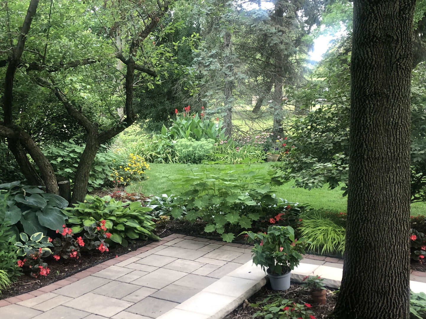 500 Buckingham Place, Downers Grove, IL 60516