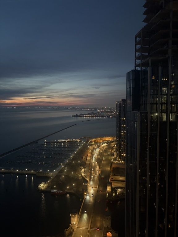 474 N Lake Shore Drive #5710, Chicago, IL 60611