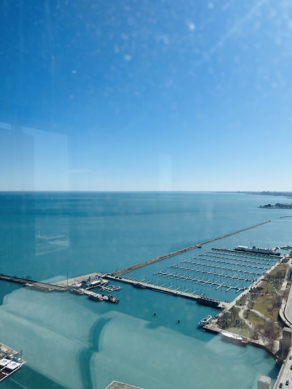 474 N Lake Shore Drive #5710, Chicago, IL 60611