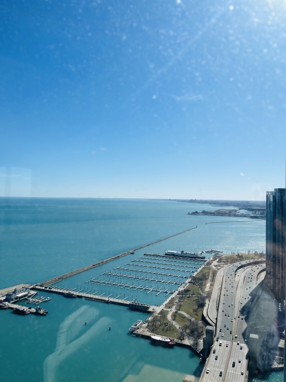 474 N Lake Shore Drive #5710, Chicago, IL 60611