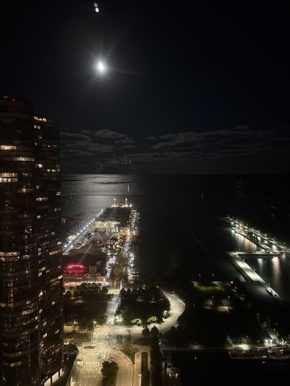 474 N Lake Shore Drive #5710, Chicago, IL 60611