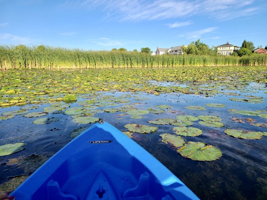 884 Blazing Star Road, Grayslake, IL 60030